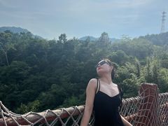 -广州白江湖森林公园