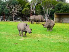 -威勒比开放式动物园