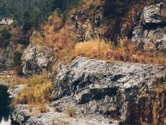 -黄埔油麻山森林公园