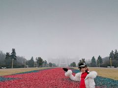 -莫斯科大学