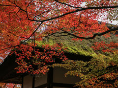 -常寂光寺