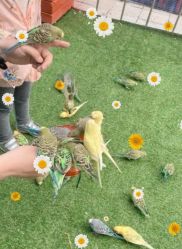 -萌宠亲子动物乐园(槐房万达店)