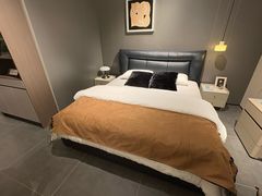 -红星美凯龙(山东全球家居1号店)