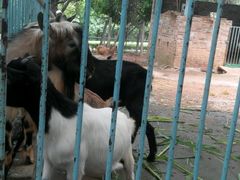 -广东茂名森林公园
