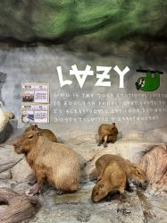 -Zoolung Zoolung动物主题公园(海信广场店)