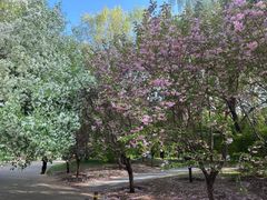 -长白岛森林公园