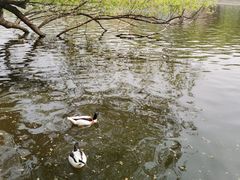 -石家庄市动物园