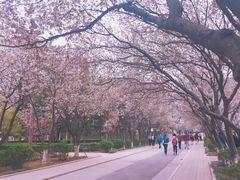 -山东师范大学(千佛山校区)