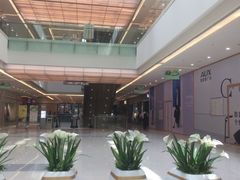 -包谋天下(奥克斯广场店)
