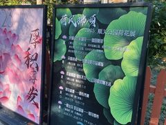 -东郊湿地公园