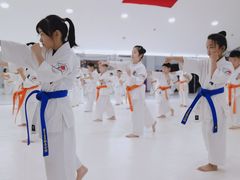 -极真空手道修远道场