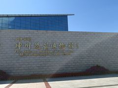 -嘉荫恐龙国家地质公园
