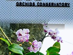 -国家植物园南园