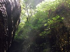 -梦幻奥陶纪景区