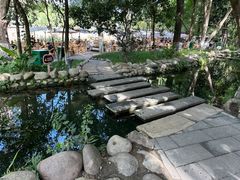 -成都市活水公园