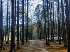 -山王坪喀斯特国家生态公园