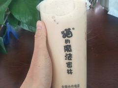 -猫的魔法密林(衣裳街店)