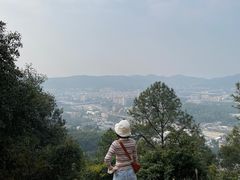 -火炉山森林公园