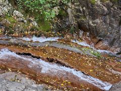 -浙西天池-售票处