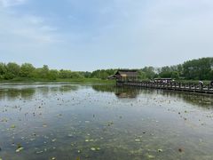 -溱湖国家湿地公园