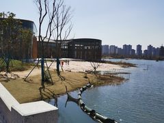 -洋湖国家湿地公园