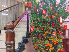 -轩记海鲜餐厅·四十五年老字号·经典粤菜(西区彩虹店)