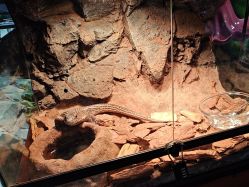 -酷嗒动物文化乐园(cutezoo西溪乐天城店)