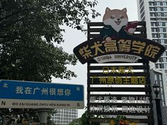 -柴犬高等学院·狗咖·柴犬售卖·宠物训练