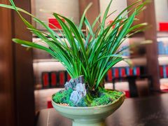 -钱塘宴(东站西子国际店)