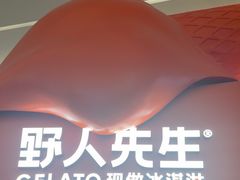 -野人先生现做冰淇淋(北京王府井东方新天地店)
