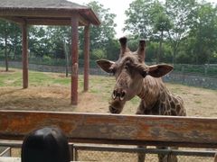 -石家庄市动物园