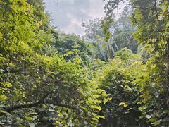 -呀诺达热带雨林