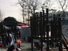 -成飞公园