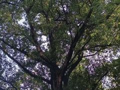 -晓港公园