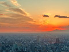 -六本木新城展望台(东京城市景观)