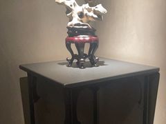 -觀芷隐轩