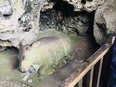 景点-昆明滇池国家级风景名胜区西山景区