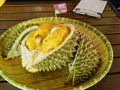 -榴莲BB 四季果园