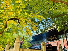 -红螺寺