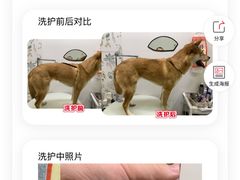 -囡的喵喵酱·萌宠生活馆·宠物洗护美容(胶州路店)