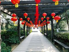 -白马涧龙池景区
