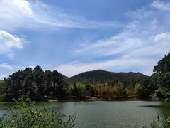 -句容茅山景区