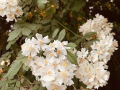 -出走咖啡·面包(宋庄店)