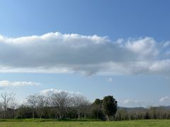 -良渚古城遗址公园