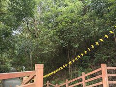 -银瓶嘴森林公园