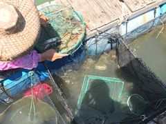 -海上驿站渔家菜馆