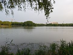 -东华大学(松江校区)