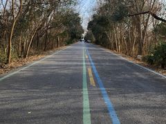 -盐城丹顶鹤湿地生态旅游区