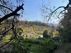 -塔川景区