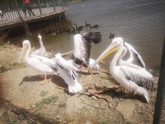 -新疆天山野生动物园